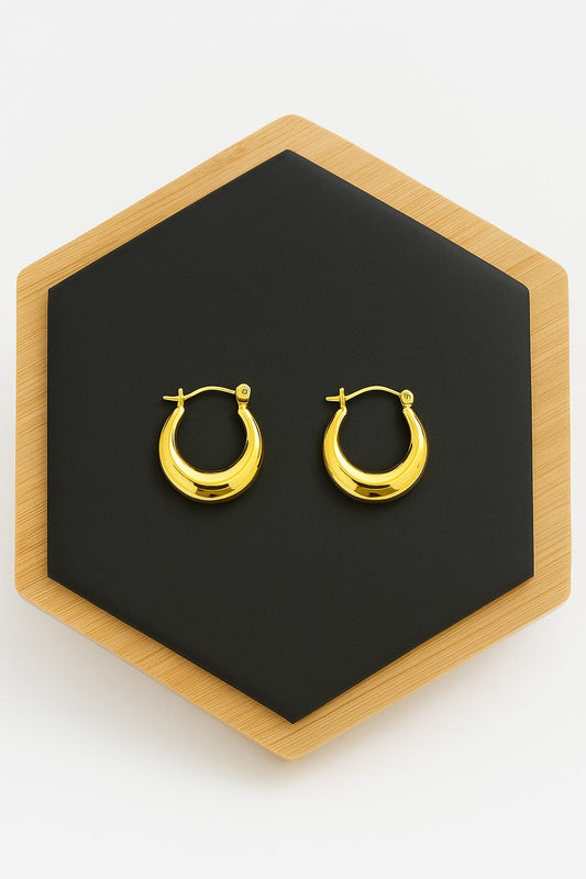 Anti tarnish Hooks Earrings