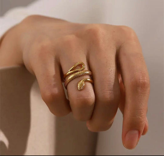 Snake π ring