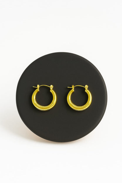 Anti tarnish Hooks Earrings